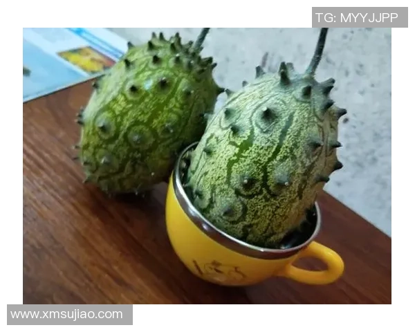 一代球王的传奇岁月与辉煌时刻，回望他为足球世界留下的永恒记忆