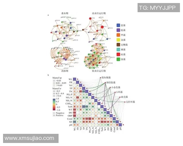 中国足球星二代背后的关系网络与成长之路解析