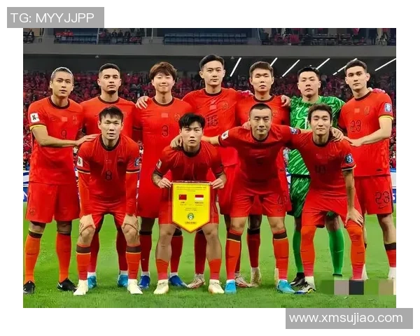 中国足球队外援球员名单及其在队表现分析